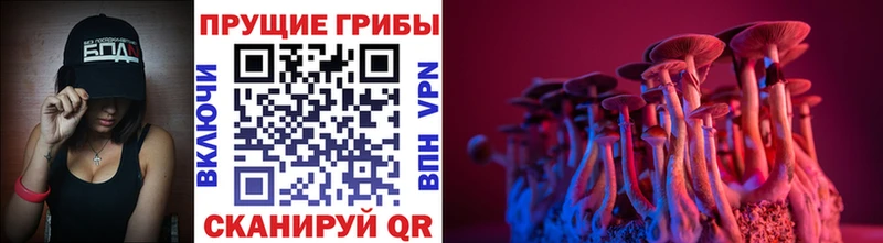 Галлюциногенные грибы Magic Shrooms  Малмыж 