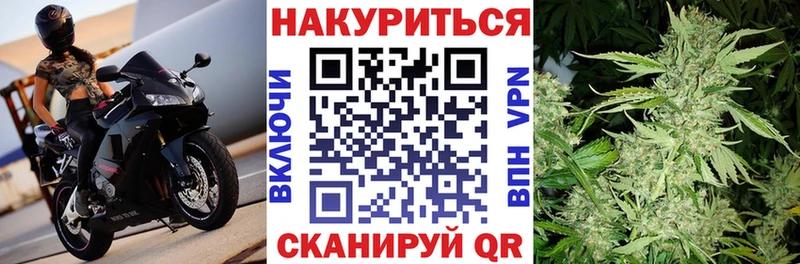 Бошки марихуана SATIVA & INDICA  наркота  гидра сайт  Малмыж 